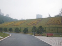 城西公園欄桿