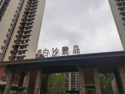 宜賓白沙鷺島